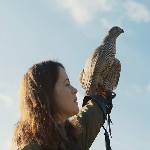 H IS FOR HAWK at the Festival Drayton Centre