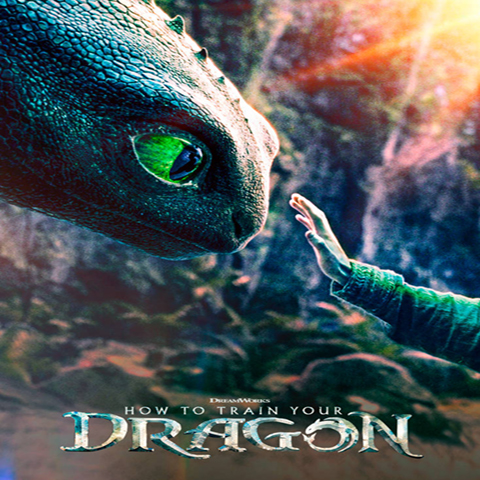 HOW TO TRAIN YOUR DRAGON at the Festival Drayton Centre