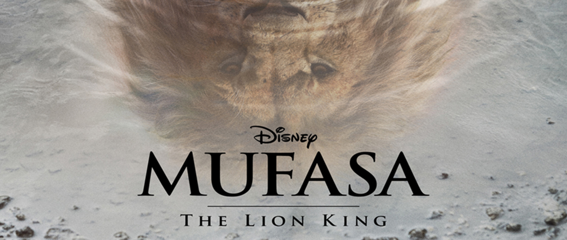 Mufasa: The Lion King (PG) at the Festival Drayton Centre