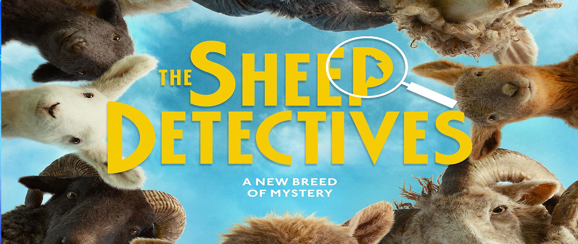 THE SHEEP DETECTIVES  at the Festival Drayton Centre